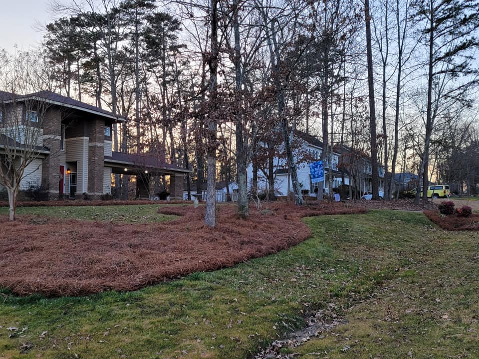 Pine needle installation by Sincere's Pineneedles in Charlotte NC