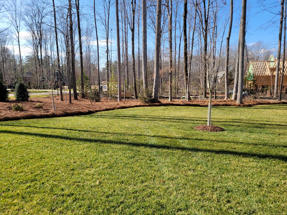 Pine needle and mulch installation around trees