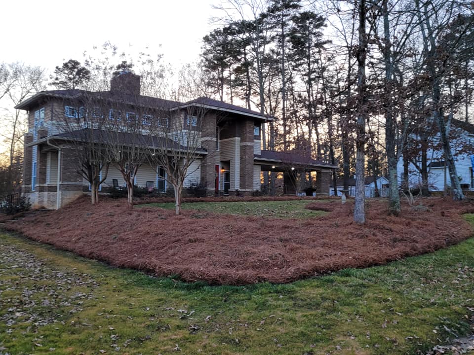 Completed pine needle installation at Charlotte home
